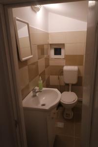 a bathroom with a sink and a toilet at Canadian House in Sărata-Monteoru