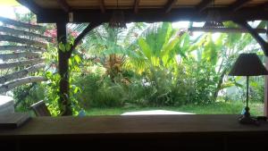 Giardino di T2 KAY ZANNDOLI