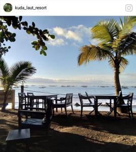 two picnic tables and a palm tree on the beach at Kuda Laut Resort in Cisolok +3 photos
