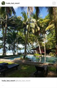 ein Bild eines Resorts mit einem Pool und Palmen in der Unterkunft Kuda Laut Resort in Cisolok