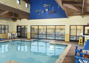 a swimming pool with a dolphin mural on the wall at Stoney Creek Hotel Tulsa - Broken Arrow in Broken Arrow
