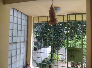 a window in a room with a plant behind it at ALPANEST - Near GMCH and B Barooah Cancer in Guwahati
