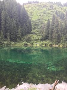 旅馆周边自然景观