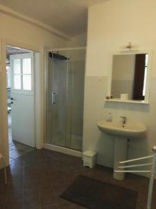 a bathroom with a sink and a glass shower at Seguendo L'Oca in Cuneo
