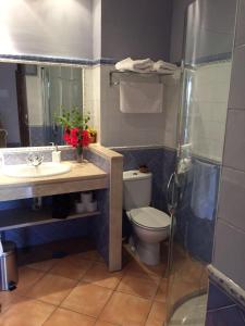 a bathroom with a toilet and a sink and a shower at Hotel Rural Andalucia in Sierra de Yeguas