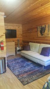 a living room with a white couch and a tv at Talkeetna Fireweed Cabins in Talkeetna