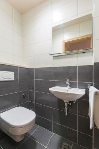 een badkamer met toilet en wastafel bij Villa Molunat in Molunat +13 foto's