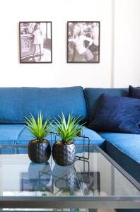 un soggiorno con divano blu e 2 piante su un tavolo di vetro di Apartamento Good Morning Velvet a Vecindario