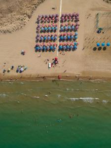 uma vista aérea de uma praia com guarda-sóis em Hotel Lido em Vasto