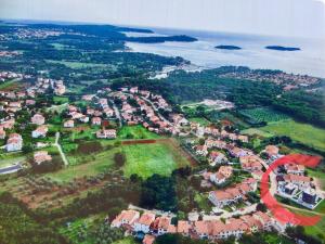 Príroda v okolí vily