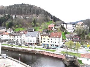 een stad met een brug over een rivier met gebouwen bij Ferienwohnung Enzblick in Bad Wildbad