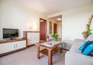 Μια τηλεόραση ή/και κέντρο ψυχαγωγίας στο Senlux Apartments