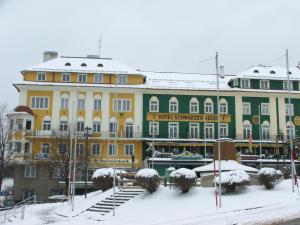 Haus Daniel Mariazell v zimě