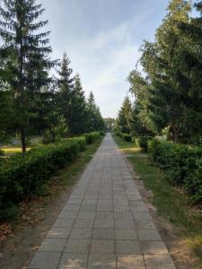 オムスクにあるKvartira Klassika na Prospekte Kultury 11の木々の生い茂る公園内の長い道