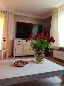 TV a/nebo společenská místnost v ubytování Whirlpool Suite Venezia