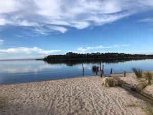 a dog laying on a sandy beach next to the water at The Boat House in Strahan