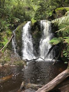 Imagen de la galería de The Boat House, en Strahan