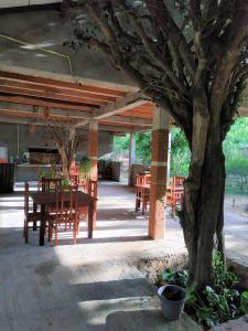 d'une terrasse avec une table, des chaises et un arbre. dans l'établissement Lavish Eco Jungle, à Tissamaharama