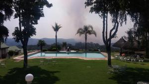 - une piscine dans une cour avec des palmiers dans l'établissement Montclair Hotel and Casino, à Nyanga