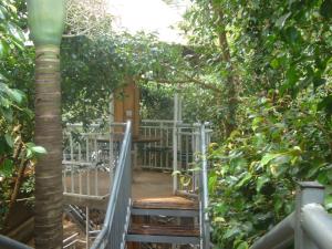 a wooden walkway through a garden with a tree at Tourist Nest Hotel in Kampala +13 photos