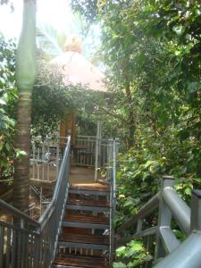 a stairway leading up to a building with trees at Tourist Nest Hotel in Kampala