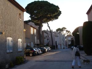 une personne marchant un chien dans une rue dans l'établissement Appart au calme, climatisé, avec parking, 2 pas des plages, Hyères le port, à Hyères