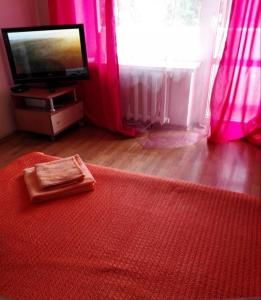 モスクワにあるApart Центр Zooのベッド1台、テレビ、ピンクのカーテンが備わる客室です。