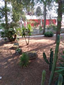 a garden with a bunch of plants and trees at Stelle Sul Salento Holiday Home in Marina di Mancaversa