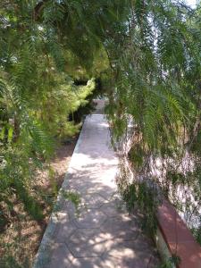a path in the middle of a forest of trees at Stelle Sul Salento Holiday Home in Marina di Mancaversa