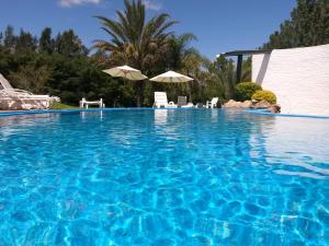 a large blue swimming pool with chairs and umbrellas at Hotel La Posta del Dayman in Termas del Daymán