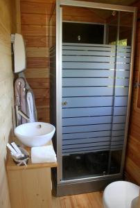 uma casa de banho com um lavatório e uma cabina de duche em vidro. em les roulottes de dilou Cerise em Matha