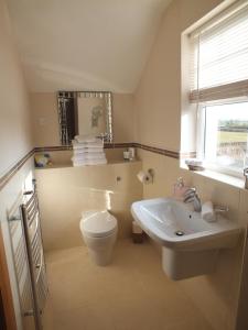 a bathroom with a toilet and a sink at Crowfield Country House in Aghadowey