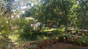 un jardín con macetas y un estanque en Villa Mylena, en Jouques