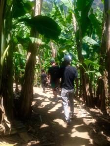 a group of people walking down a path in the jungle at Bule Homestay Cianjur in Cianjur
