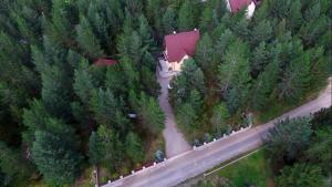 an aerial view of a house in the middle of a forest at Vikendica Vjeverica in Risovac