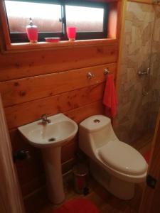 uma casa de banho com um WC, um lavatório e uma janela em Cabañas El Diuco en Coñaripe 4 em Coñaripe