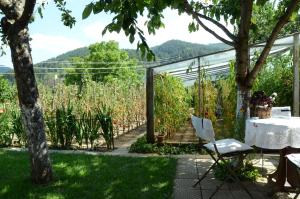 Billede fra billedgalleriet på Къща за Гости Солакови ** i Devin