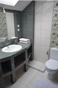 La salle de bains est pourvue d'un lavabo et de toilettes. dans l'établissement Pod Katedrą, à Drohiczyn