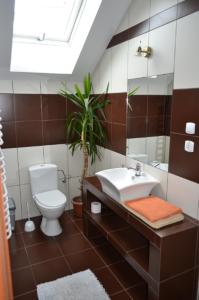 a bathroom with a sink and a toilet and a mirror at Pod Katedrą in Drohiczyn nad Bugiem