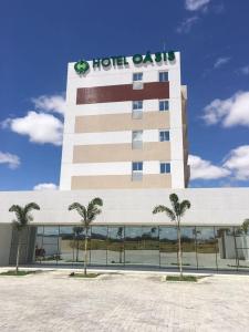 帕圖斯的住宿－Hotel Oásis de Patos，酒店前面的绿洲建筑中种植了棕榈树