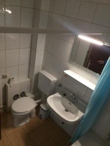 a bathroom with a toilet and a sink and a mirror at Maria Alm Studio Apartment in Maria Alm am Steinernen Meer