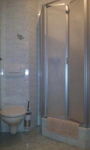a bathroom with a shower and a toilet at Pension und Berggasthaus Kapellenstein in Geyer