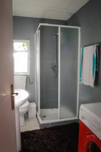 y baño con ducha, aseo y lavamanos. en Adega Do Martinho, en Milhão