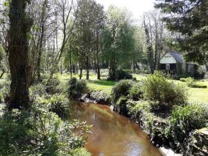Příroda nedaleko bed and breakfast