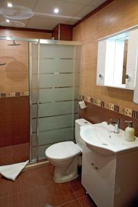 La salle de bains est pourvue de toilettes, d'un lavabo et d'une douche. dans l'établissement Studio Top City Center, à Sandanski