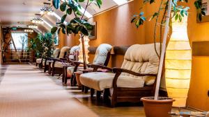 a row of chairs lined up in a waiting room at Valea Regilor Reghin in Reghin