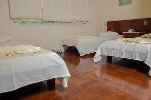 Postel nebo postele na pokoji v ubytování Hotel Indaiá