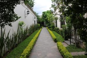 
Jardín al aire libre en Hotel Villa Tequila
