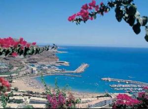 een uitzicht op de stad en de oceaan met roze bloemen bij Monterrey Apartamentos in Puerto Rico de Gran Canaria