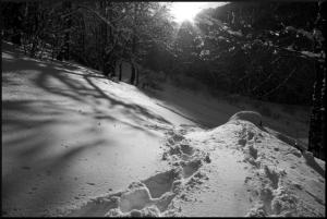 拉克河畔尚邦的住宿－奧克斯500迪亞堡斯生態旅舍，一条有雪覆盖的道路,在背后有太阳